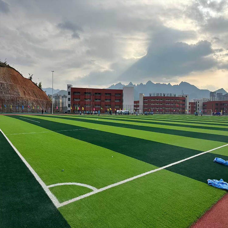 贵州罗甸第六小学项目 9000方混合型跑道➕7140平草坪实景图
