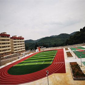 学校运动场运动草坪