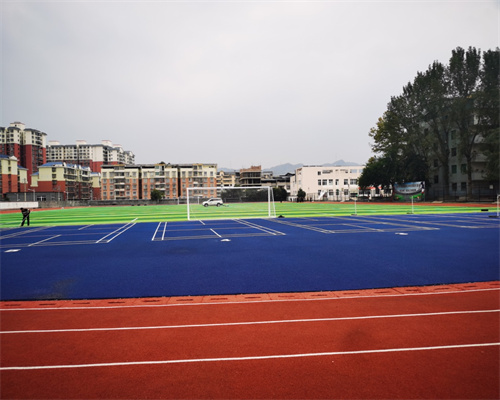 施秉一中塑胶跑道人造草坪足球场项目